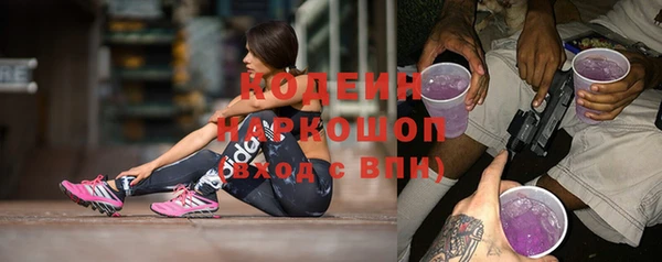 дмт Пестово