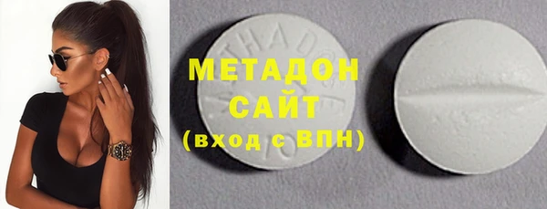 индика Нягань