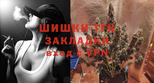 индика Нягань