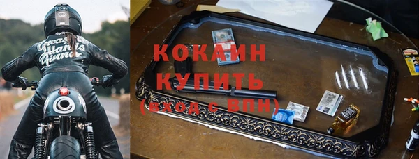крисы Богородск