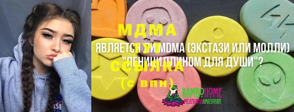 apvp Бородино